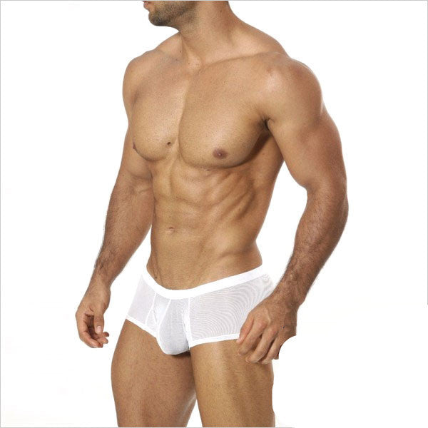 velvet exposure briefs