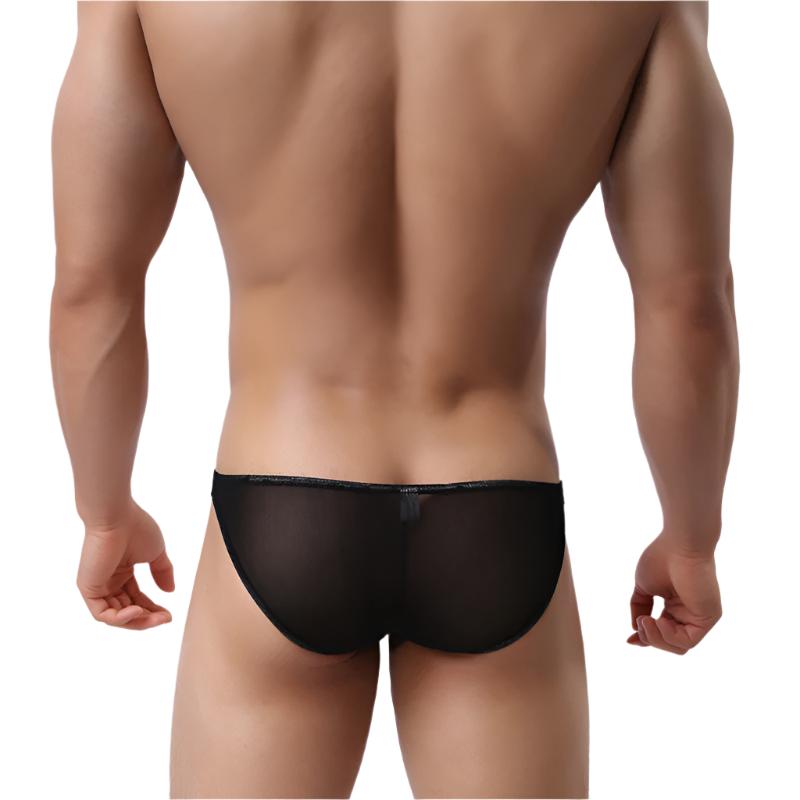 velvet veil mesh briefs