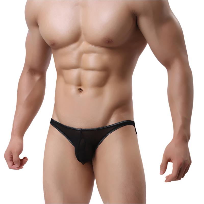 velvet veil mesh briefs