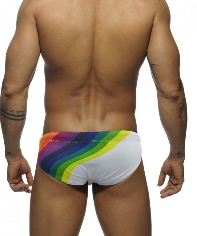 titanium tides swim briefs