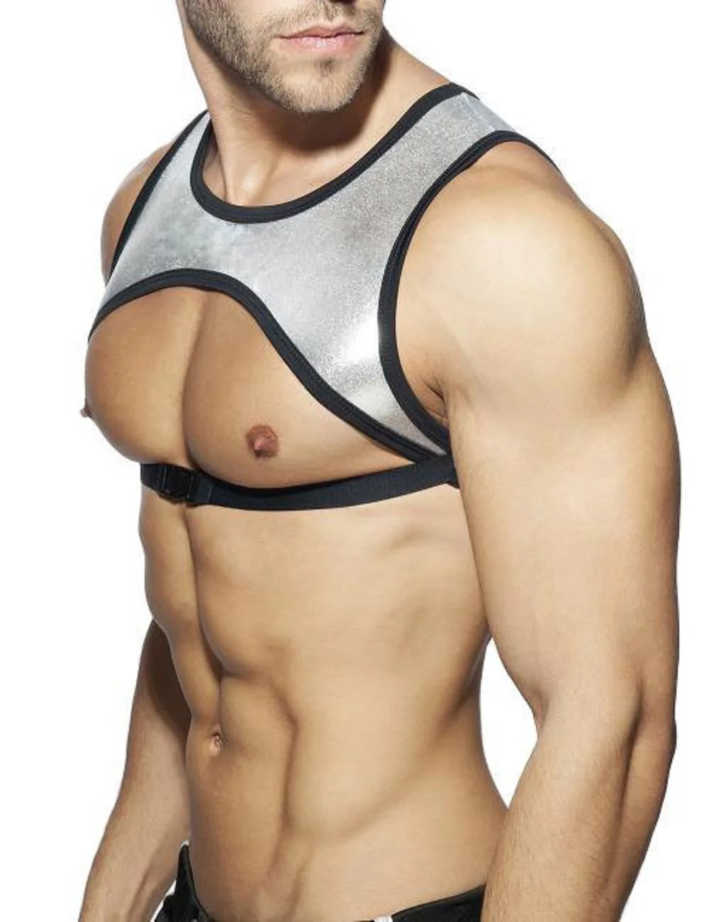 golden eclipse harness