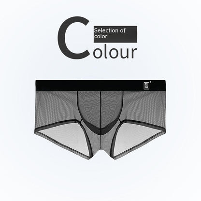 ShadowLuxe Tease Briefs