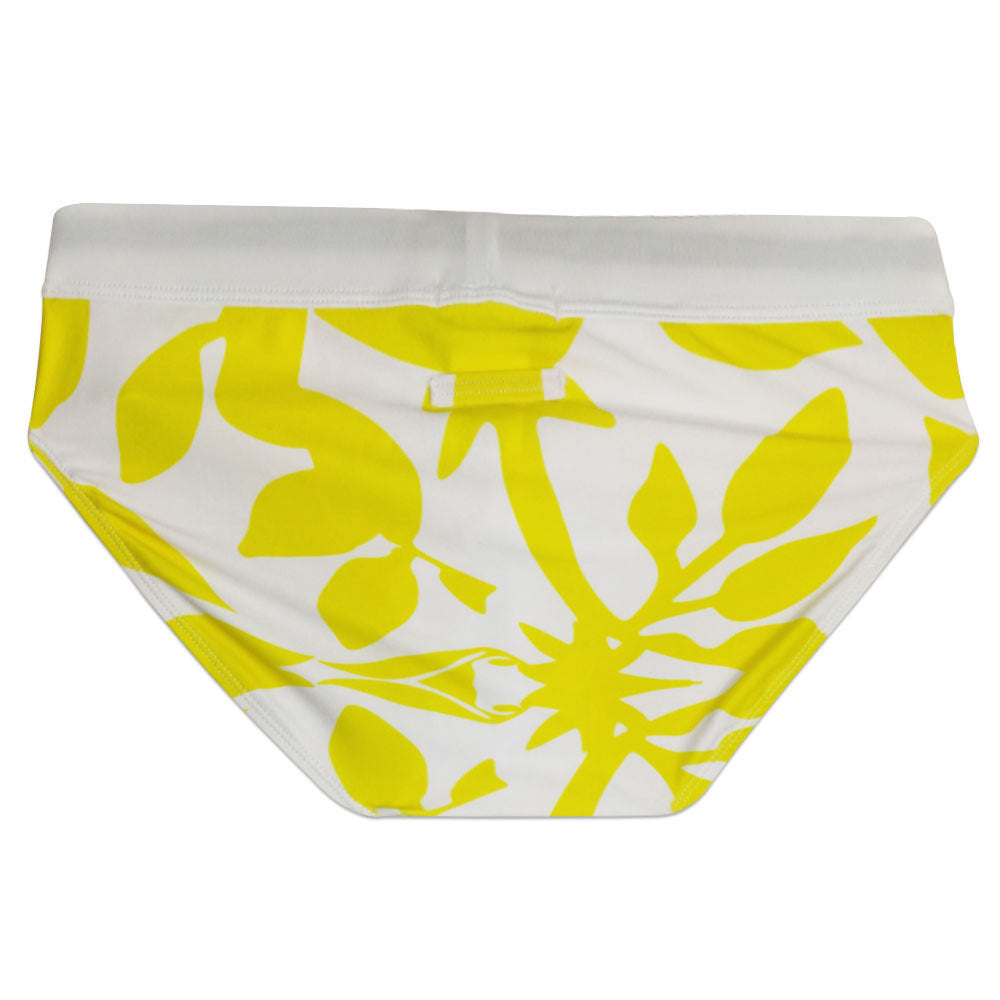 aqua adonis swim briefs